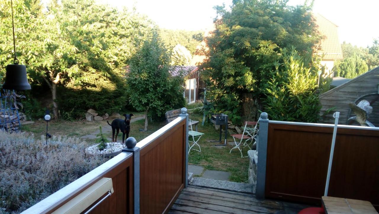 Ferienhaus Schulenberg Vila Friedrichsbrunn Exterior foto